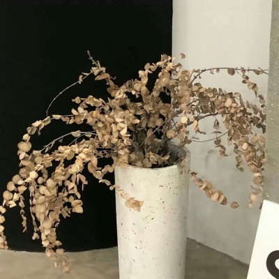 兽设沙漠场景设计FurryQQ群